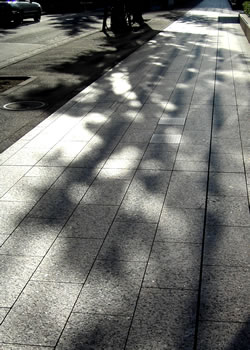 shining pavement.jpg